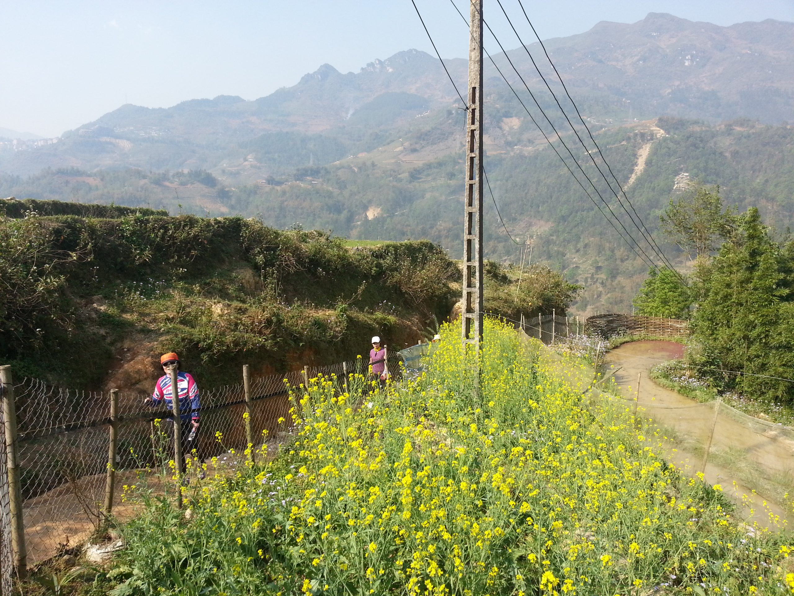 Ultimate Sapa Cycling Tour: Discover Remote Ethnic Villages & Breathtaking Terraced Rice Fields